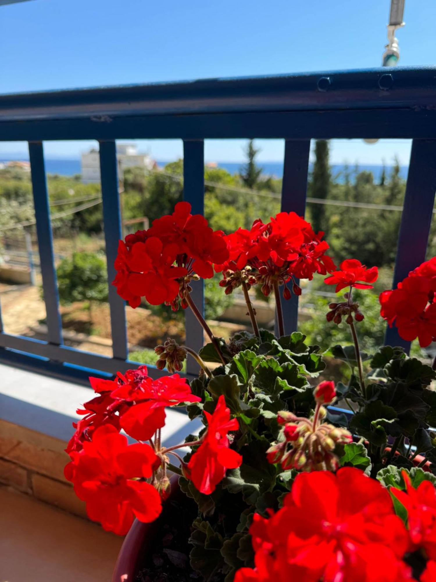 Guesthouse Rondo Himare Exterior foto