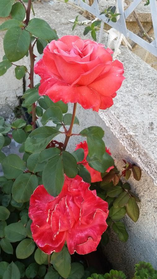 Guesthouse Rondo Himare Exterior foto