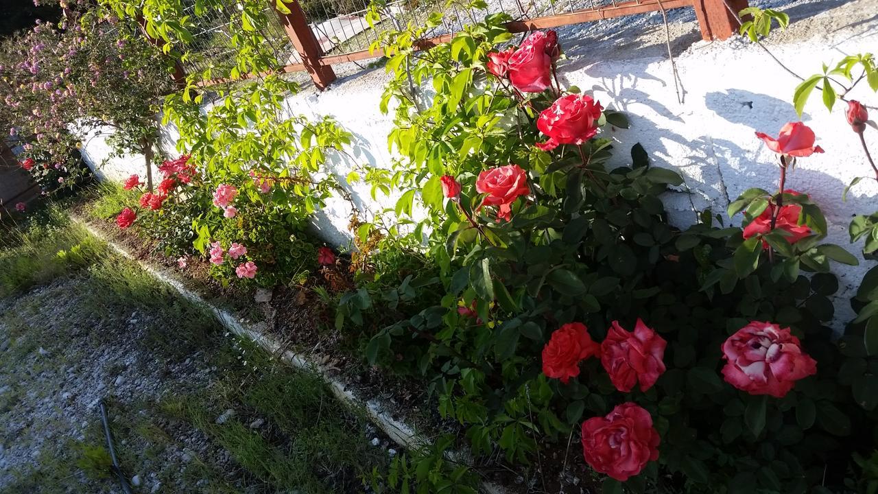 Guesthouse Rondo Himare Exterior foto